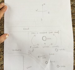 Help me plan my garden - I haven't a clue what I'm doing