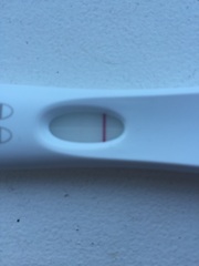 September bfp bus