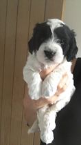 She's coming home today!!
