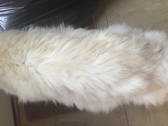 Frugaleers chatting and saving even further into August...