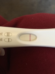 Faint Line Visible To Anyone?