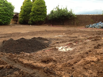 Help me plan my garden - I haven't a clue what I'm doing