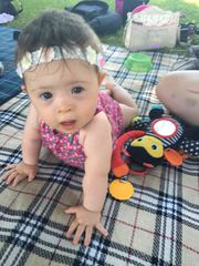 Can't decide whether to have tests!