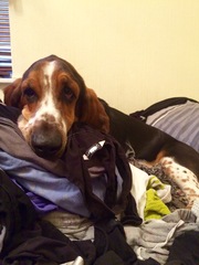 Extremely Boring Laundry Question...