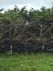 Frugaleers chatting and saving even further into August...