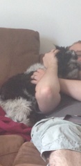 Dog driving me mad, bot sure whether I'm being U want him rehired