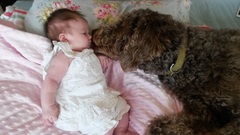 Due in February 2017....thread 5!