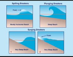 AIBU to think that we need more education about the sea?