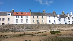 Brave Babes Battle Bus - Holding our heads up like thistles