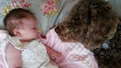 Due in February 2017....thread 5!