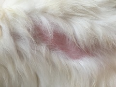 Frugaleers chatting and saving even further into August...