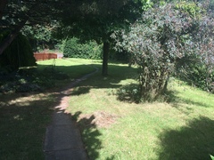 Help me plan my garden - I haven't a clue what I'm doing