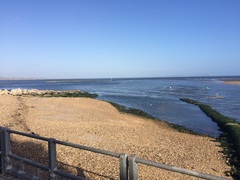 Brave Babes Battle Bus - Holding our heads up like thistles