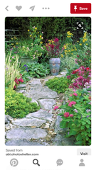 Help me plan my garden - I haven't a clue what I'm doing