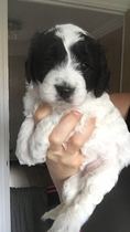 She's coming home today!!