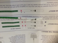 Are these evap lines or am I pregnant?
