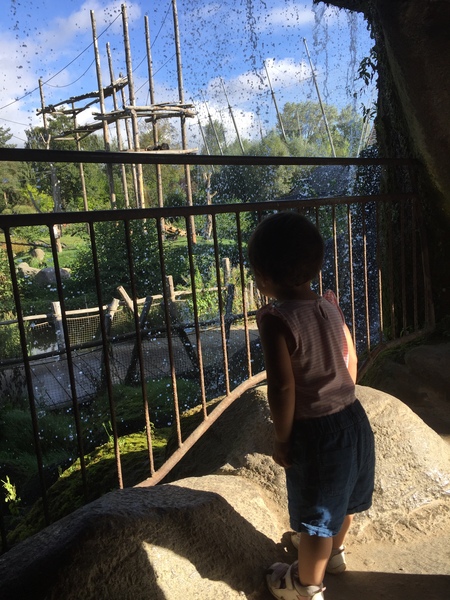 Super Scrimpers sashay, save & --squander-- their way through September