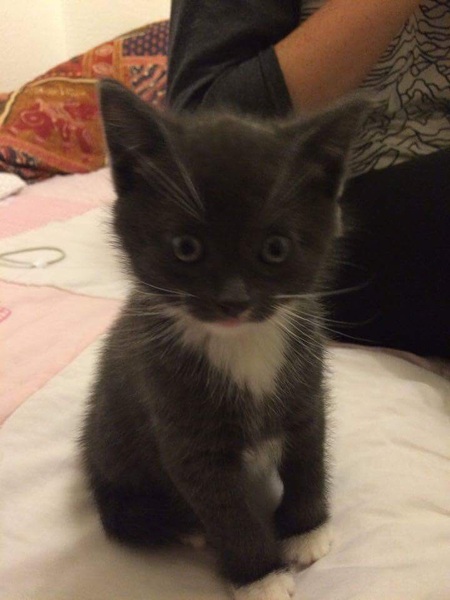 Floof needs a name!