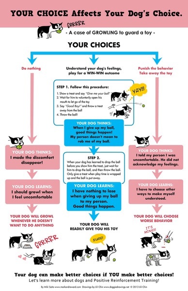 Dog behaviourist?