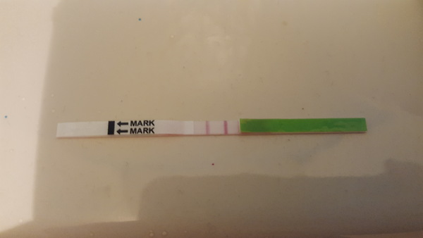 The October Bus - hoping for lots of BFPs and Summer babies!!