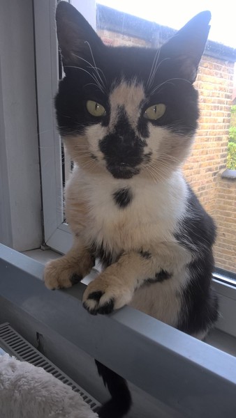 Meet Edgar