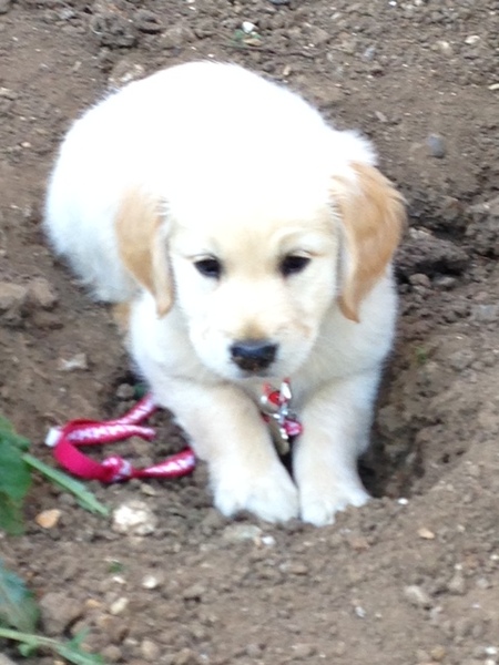 Meet Jess
