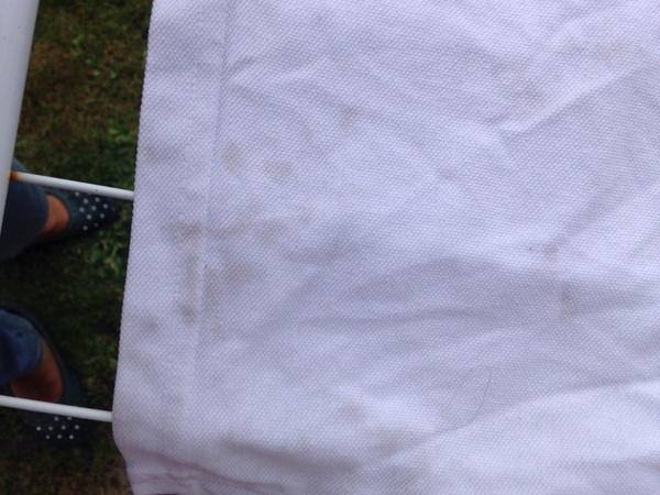 Washing machine staining whites please help pics included