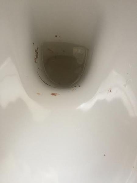 This has been done to death but even so - workmen and toilets