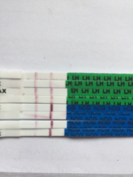 Need positive stories where BFP was not getting darker quickly