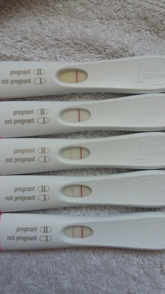 Anyone else Due June 2017?