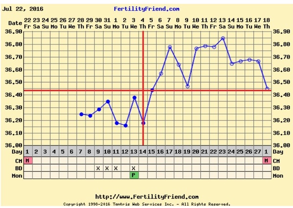 Positive opk after miscarriage- 2