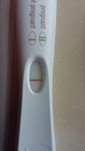 September bfp bus