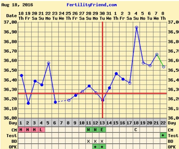 Positive opk after miscarriage- 2