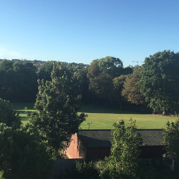 Brave Babes Battle Bus - Holding our heads up like thistles