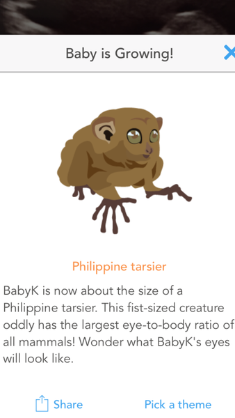 Due in March 2017 - thread #4