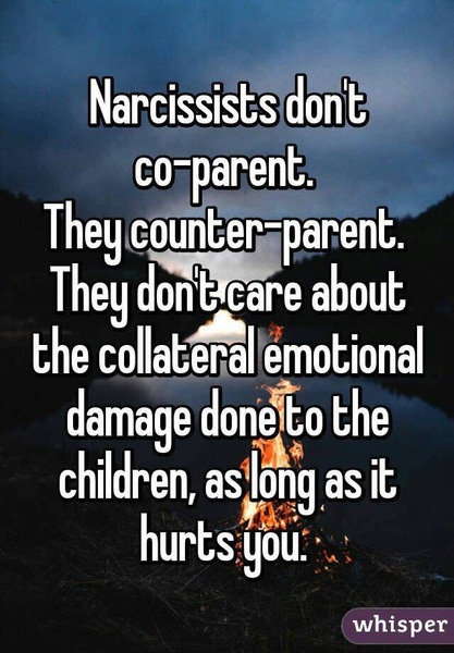 support thread for those of us having to 'co-parent' with a narc or very difficult exh