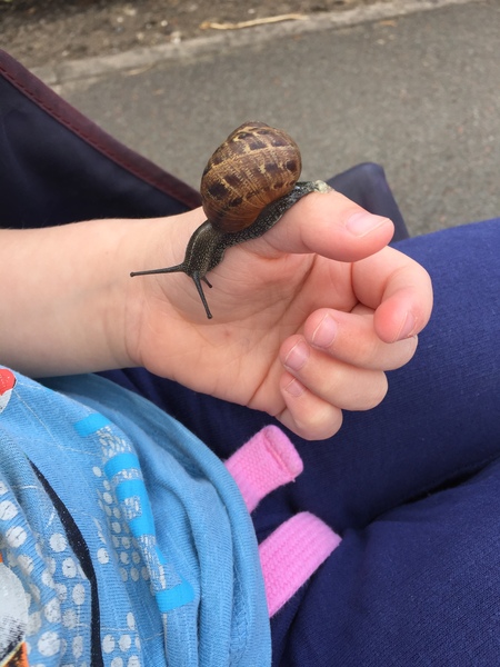 Tell us about your child's most unusual pets for a chance to win a Little Adventurers book plus a Muddy Puddles EcoSplash rain mac