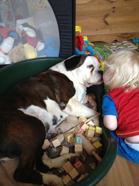 Tell us about your child's most unusual pets for a chance to win a Little Adventurers book plus a Muddy Puddles EcoSplash rain mac