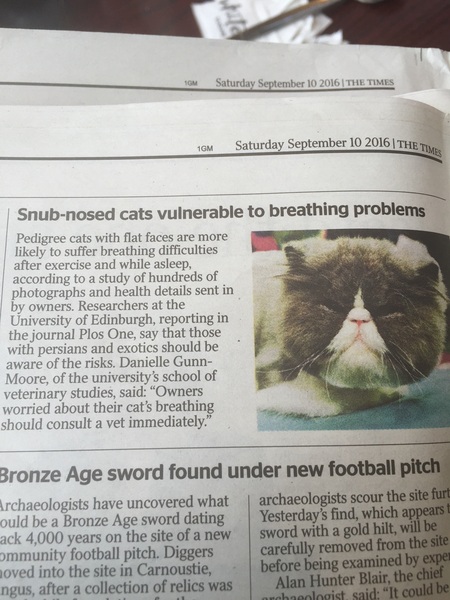 They needed to research this?!!
