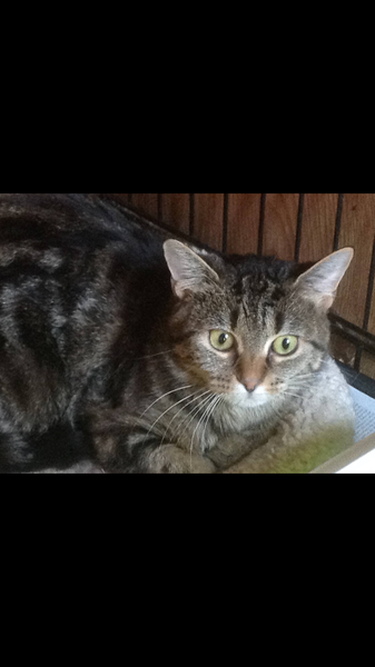 Super Scrimpers sashay, save & --squander-- their way through September