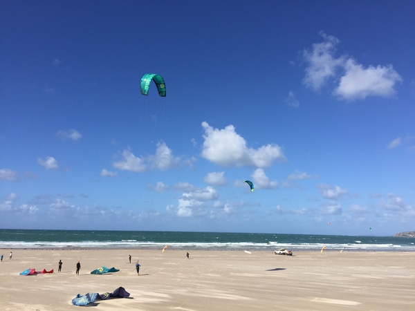 The Friendly Frugaleers, figuring out our finances with furry feline photos!