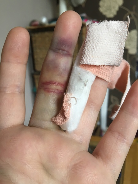 Thread 6 - the one where the shark beds go astray and we try not to eat our chocolate hauls