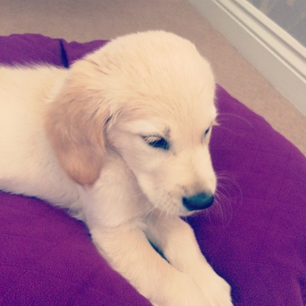 Thread 5 - show us your haul