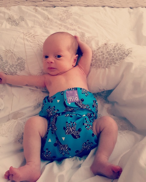 Thread 12 TTC#1 Grads. "You are my favourite thing that ever shit all over my hands"