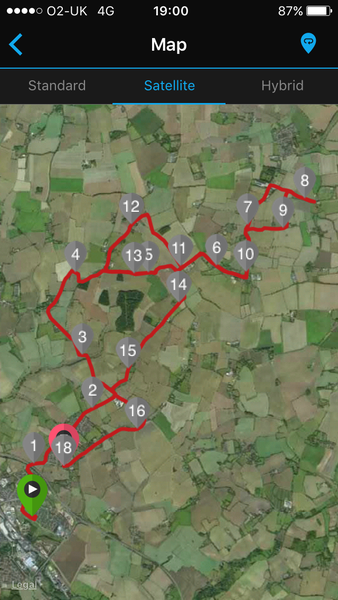 To think you don't ask a runner for directions