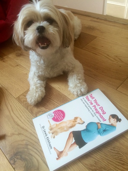 Due February 2017 - Thread 8!