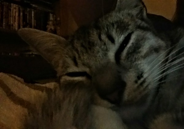 Puccini isn't well at all