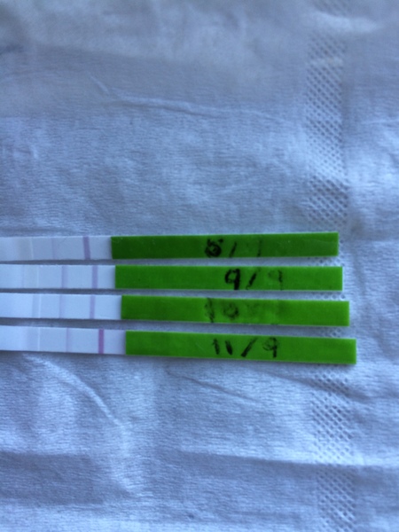 OPK advice following miscarriage- are these becoming positive? No idea...