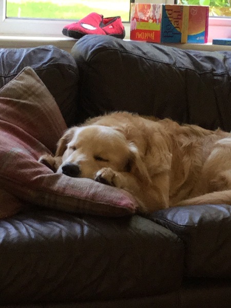 Meet Jess