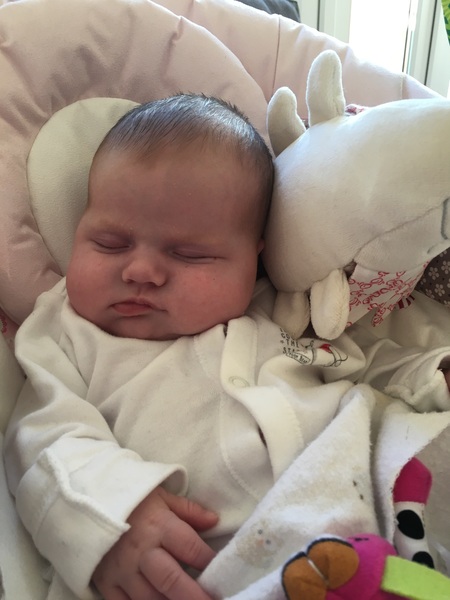 Thread 12 TTC#1 Grads. "You are my favourite thing that ever shit all over my hands"